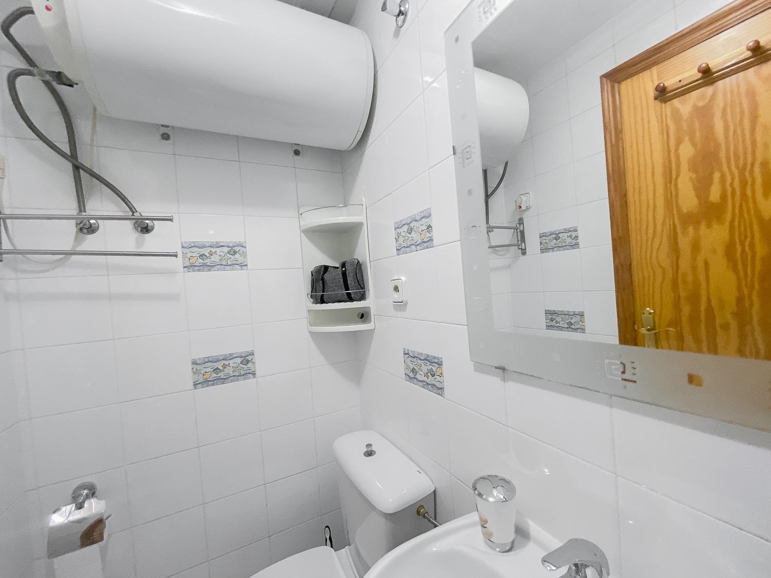 Ferienwohnung Estudio Plaza San Cristobal Alicante Exterior foto
